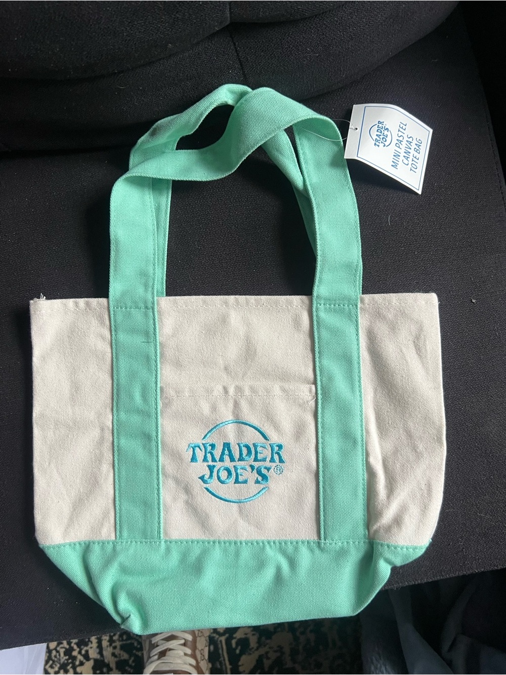 Teal Trader Joe’s Tote